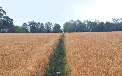 Day 4 – A wet start but another 21 miles completed