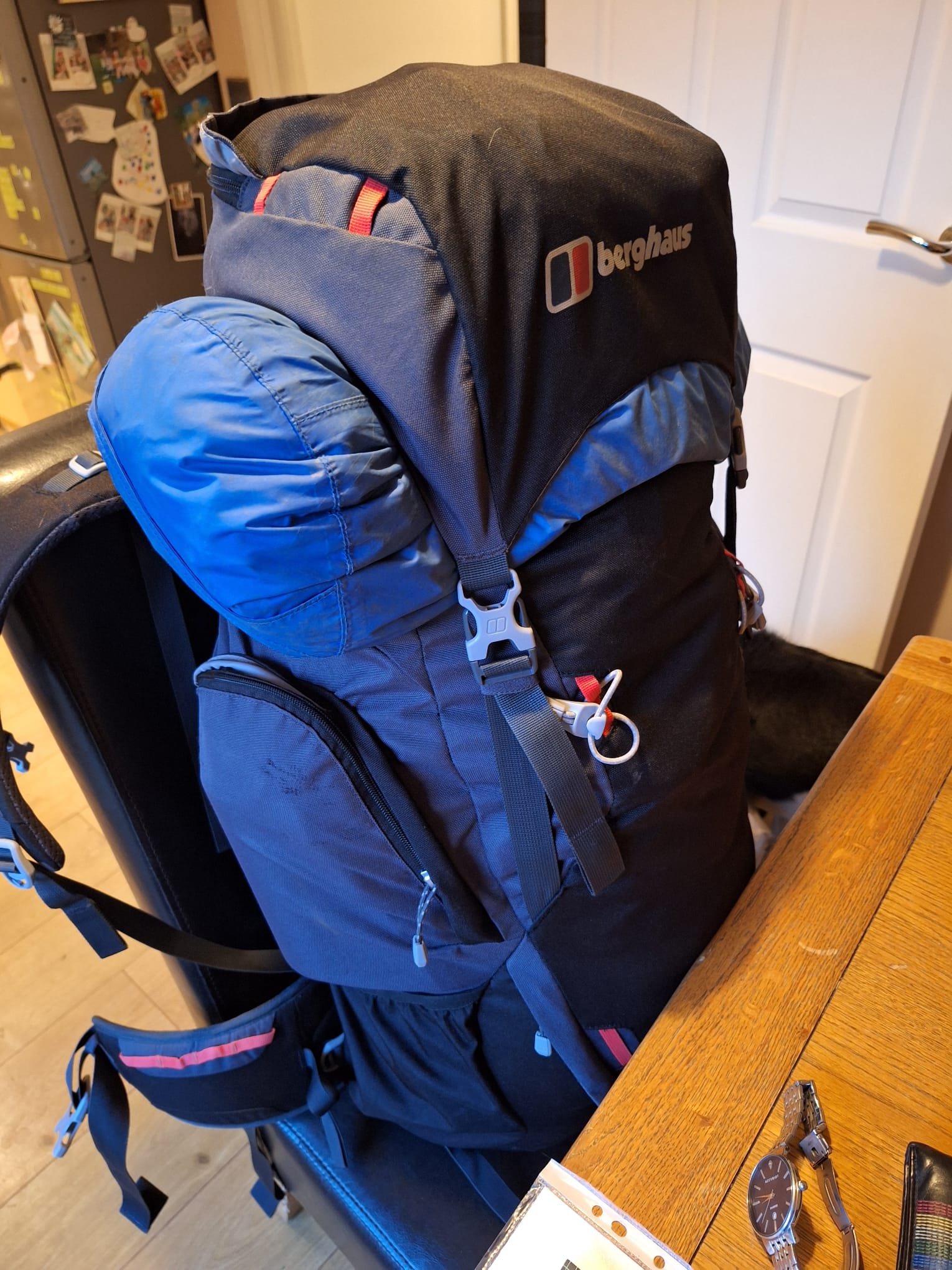 tommos walk Tomo's rucksack