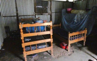 Our November Newsletter is live