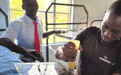 Coombe Pafford visit- Windows and a painting party