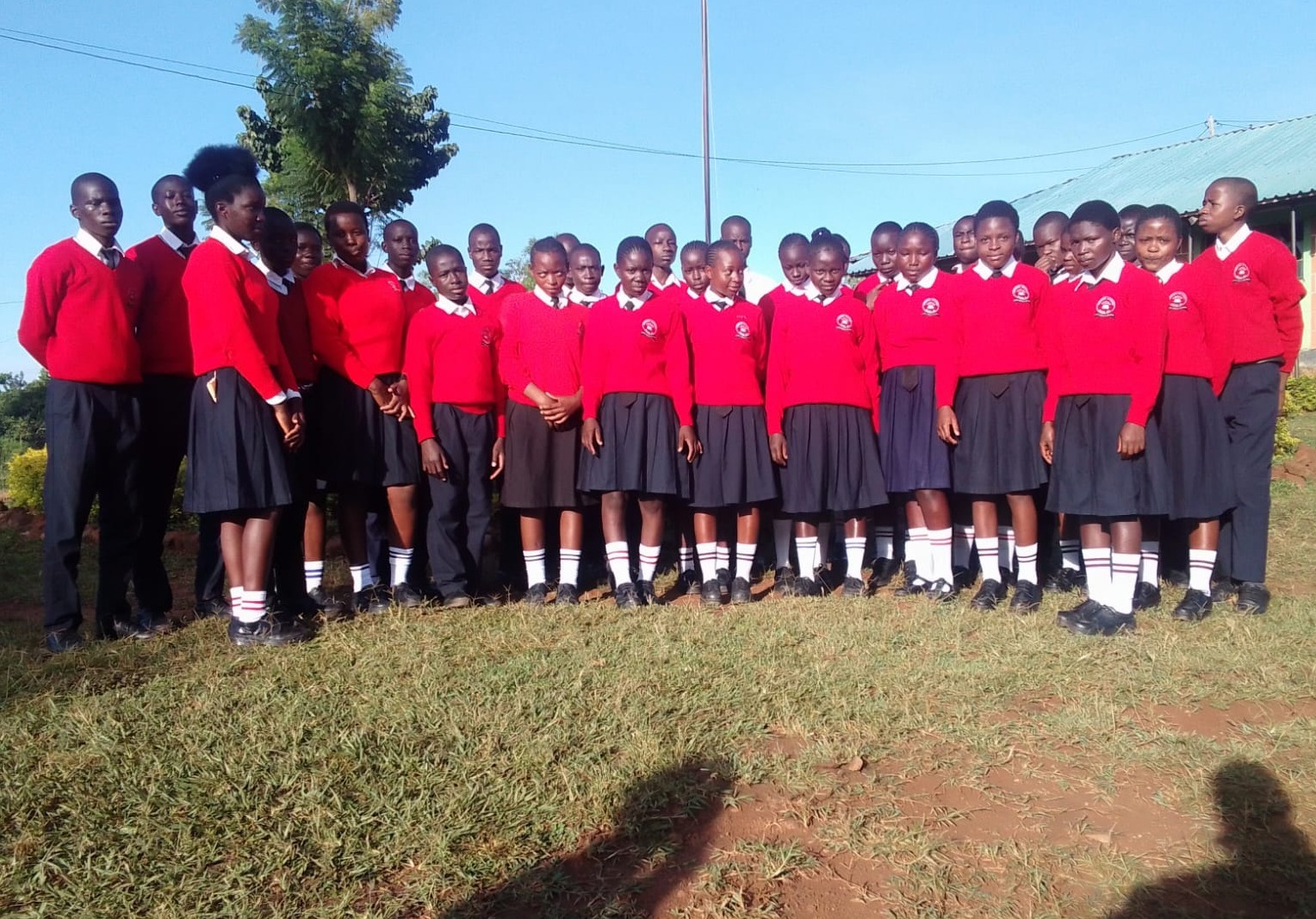 Students and the new curriculum