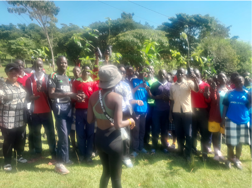 National tree day Tree planting