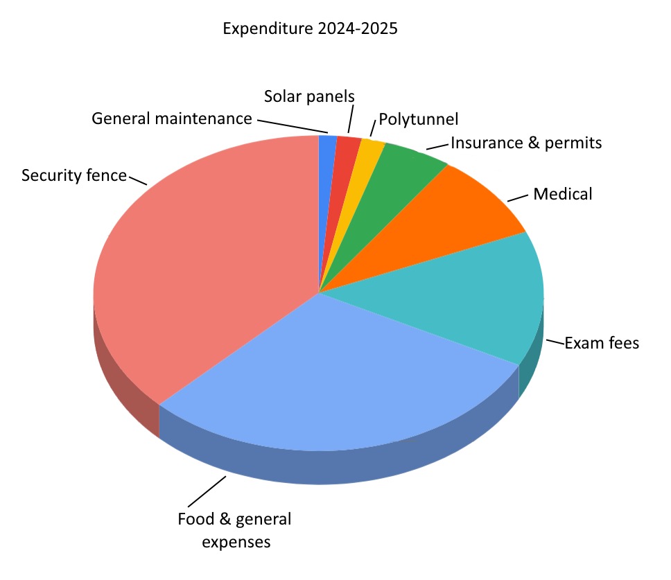 Outgoings pie chart